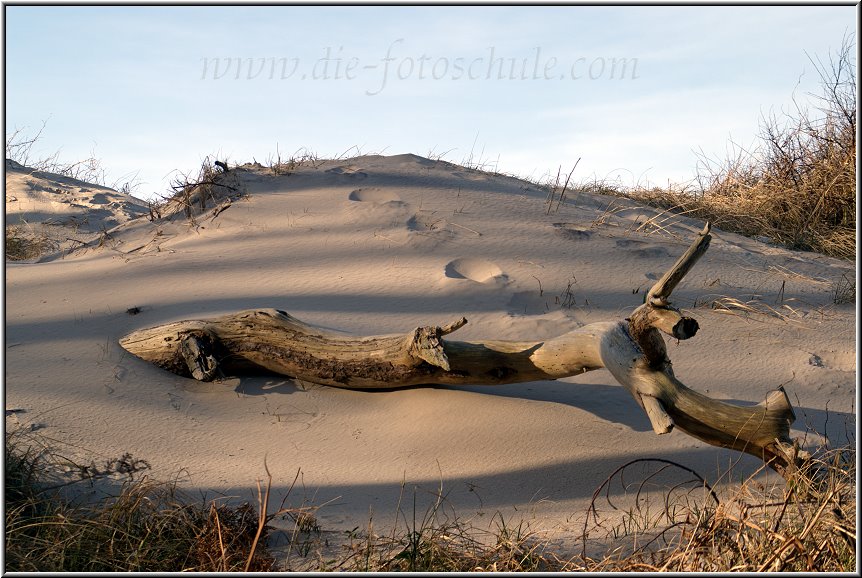 Darss_Weststrand_Ostsee29_Die_Fotoschule.jpg