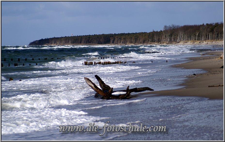 Darss_Weststrand_Ostsee43_Die_Fotoschule.jpg - Man kann es nicht spüren, aber es war saukalt! Null Grad und Windstärke 7. Es war schon unglaublich beeindruckend am tosenden Meer entlang des menschenleeren Strandes zu wandern.