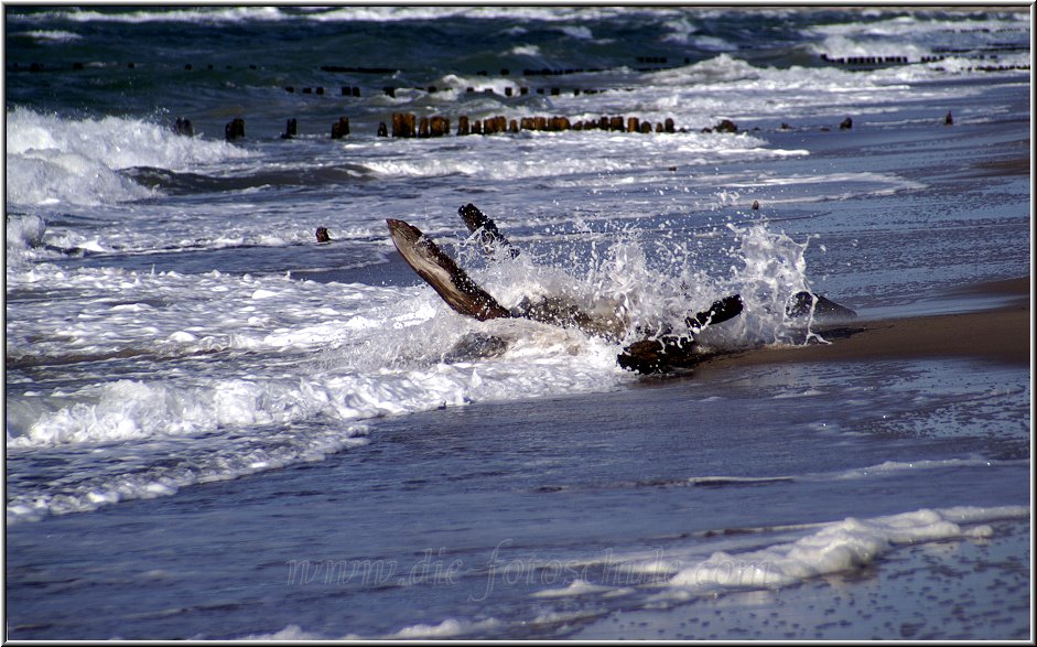 Darss_Weststrand_Ostsee45_Die_Fotoschule.jpg