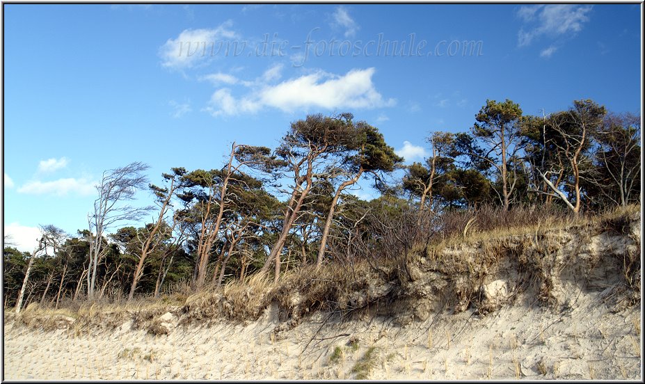 Darss_Weststrand_Ostsee48_Die_Fotoschule.jpg