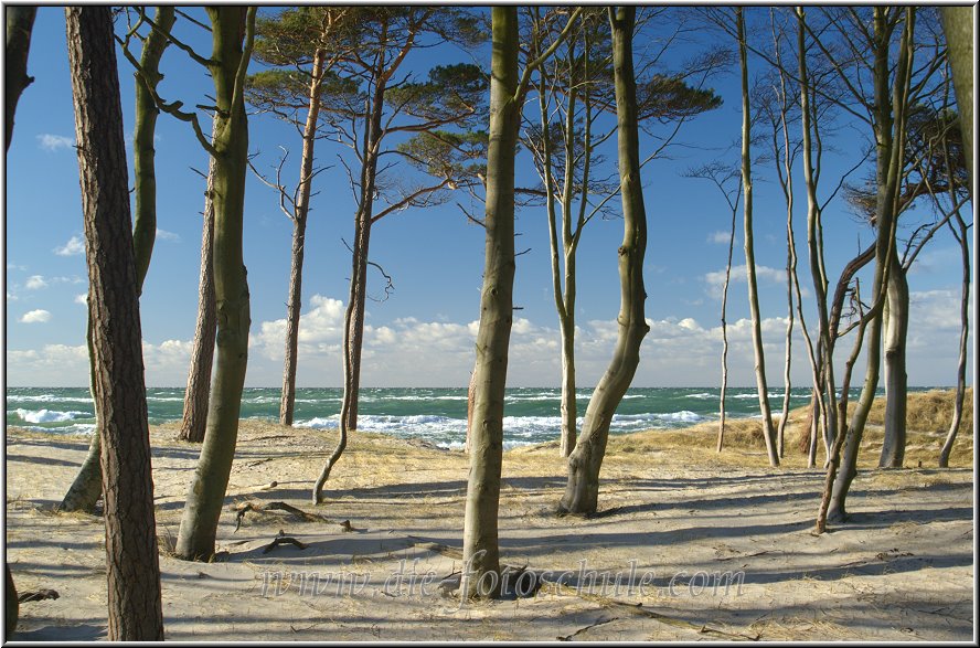 Darss_Weststrand_Ostsee53_Die_Fotoschule.jpg - Das hat doch eine ziemliche Ähnlichkeit mit den Stränden der französischen Atlantikküste, oder...?