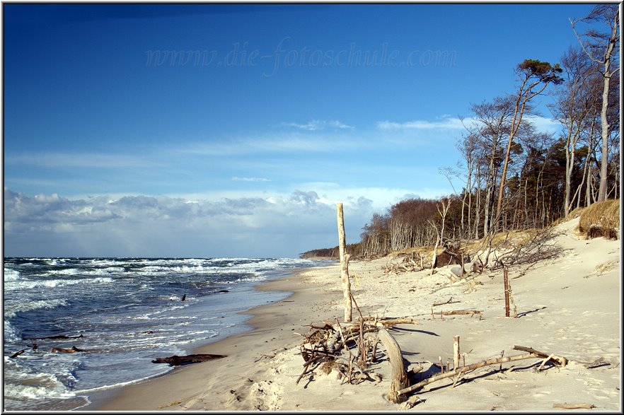 Darss_Weststrand_Ostsee54_Die_Fotoschule.jpg