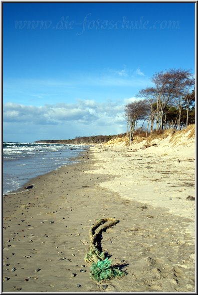 Darss_Weststrand_Ostsee56_Die_Fotoschule.jpg