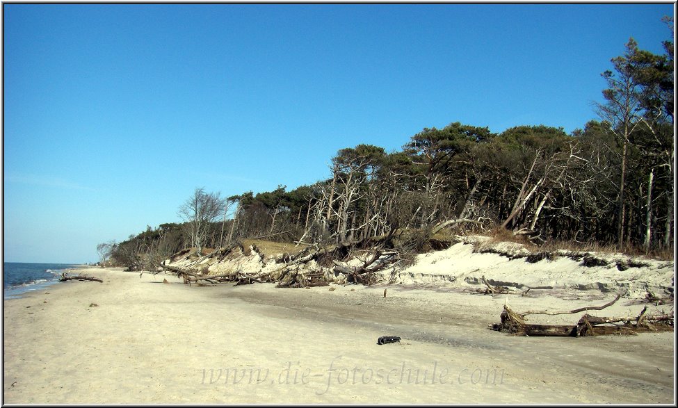 Darss_Weststrand_Ostsee66_Die_Fotoschule.jpg