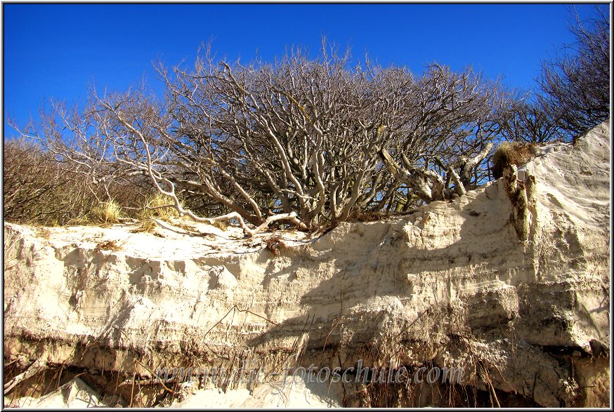 Darss_Weststrand_Ostsee70_Die_Fotoschule.jpg