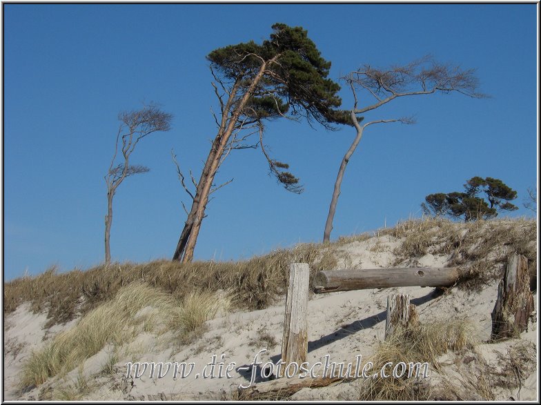 Darss_Weststrand_Ostsee74_Die_Fotoschule.jpg