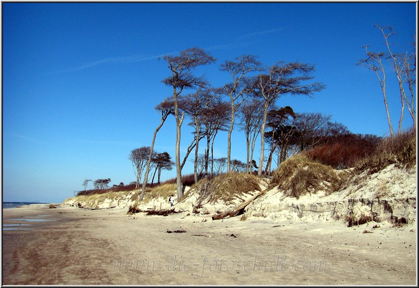 Darss_Weststrand_Ostsee76_Die_Fotoschule.jpg