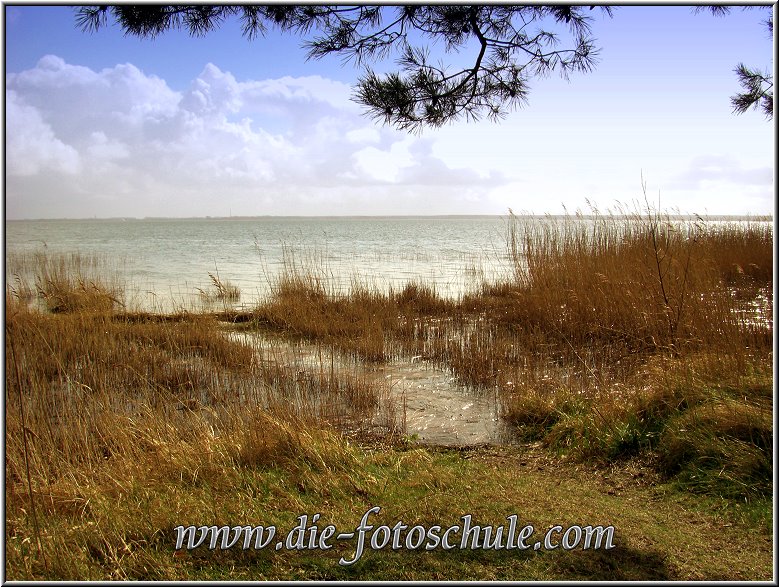 Wieck_05_Die_Fotoschule.jpg - Am Bodden in Wieck nahe des Wiecker Hafens