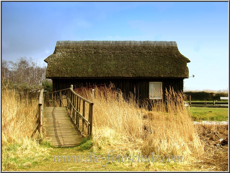 Wieck_Hafen14_Die_Fotoschule.jpg - Am Bodden in Wieck am Wiecker Hafen