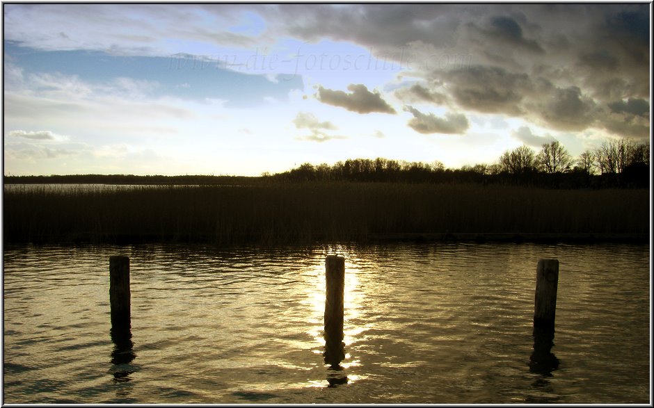 Wieck_Hafen20_Die_Fotoschule.jpg - Am Bodden in Wieck am Wiecker Hafen