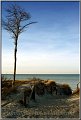 Darss_Weststrand_Ostsee16_Die_Fotoschule