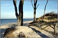 Darss_Weststrand_Ostsee18_Die_Fotoschule