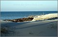 Darss_Weststrand_Ostsee24_Die_Fotoschule