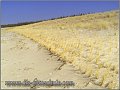 Darss_Weststrand_Ostsee38_Die_Fotoschule