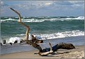 Darss_Weststrand_Ostsee41_Die_Fotoschule