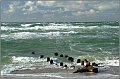 Darss_Weststrand_Ostsee42_Die_Fotoschule