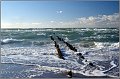 Darss_Weststrand_Ostsee58_Die_Fotoschule