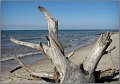 Darss_Weststrand_Ostsee60_Die_Fotoschule