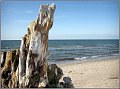 Darss_Weststrand_Ostsee65_Die_Fotoschule