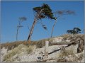 Darss_Weststrand_Ostsee74_Die_Fotoschule