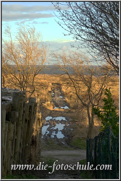 Ahrenshoop_Boddenblick01_Die_Fotoschule.jpg - Blick in Richtung Boddenküste von Ahrenshoop