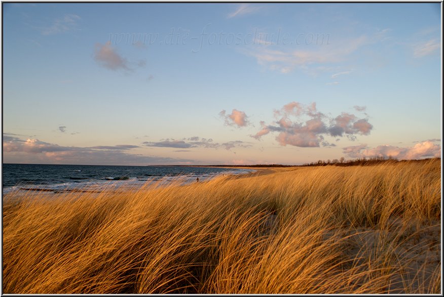 Ahrenshoop_Ostsee37_Die_Fotoschule.jpg