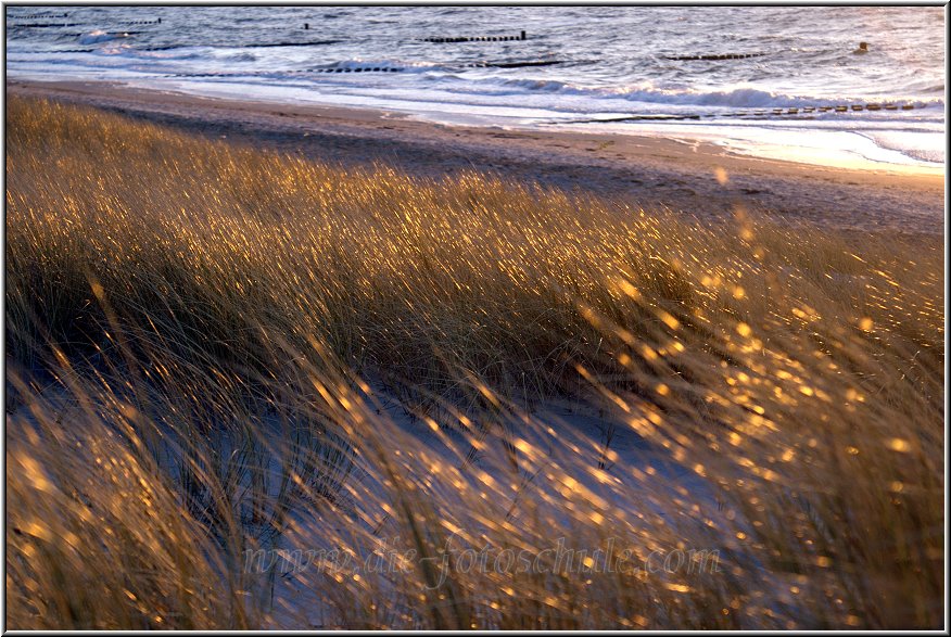 Ahrenshoop_Ostsee39_Die_Fotoschule.jpg