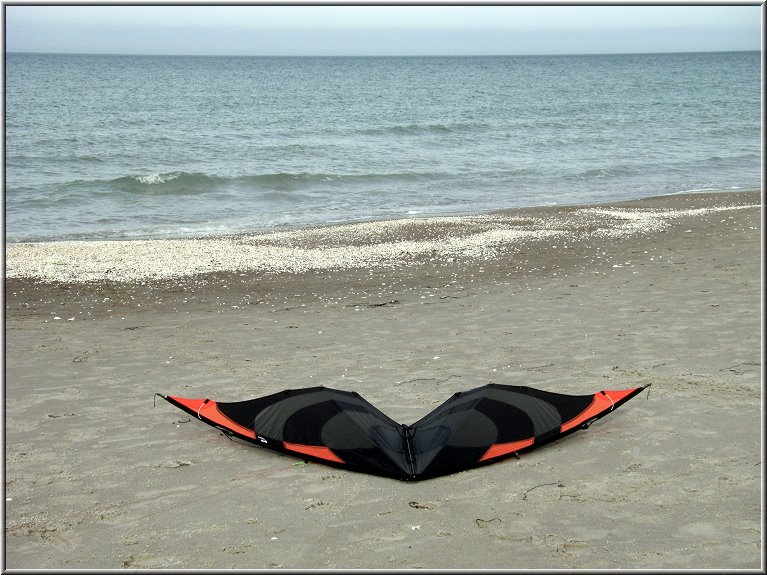 Phoenix_Weststrand_Kite-Corner01.jpg - Was liegt denn da? Eine Fledermaus?