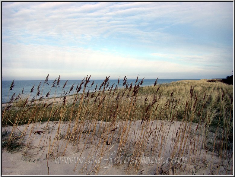 Prerow_Ostsee06_Die_Fotoschule.jpg