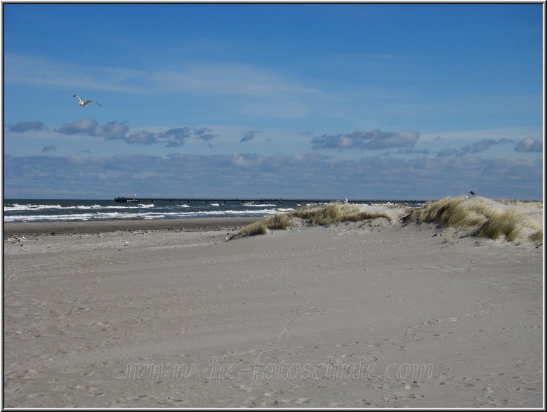 Prerow_Ostsee11_Die_Fotoschule.jpg - Westlich der Seebrücke von Prerow in Richtung Darßer Ort, hier gibt´s richtig schöne Dünengürtel