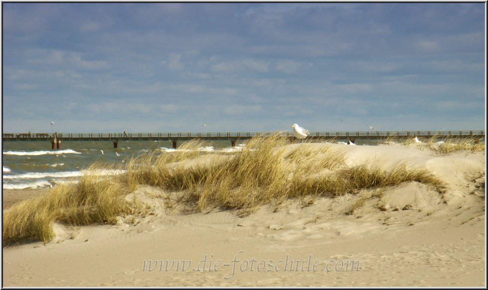 Prerow_Ostsee13_Die_Fotoschule.jpg