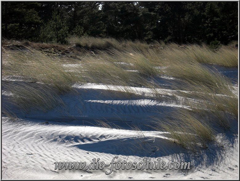 Prerow_Ostsee15_Die_Fotoschule.jpg