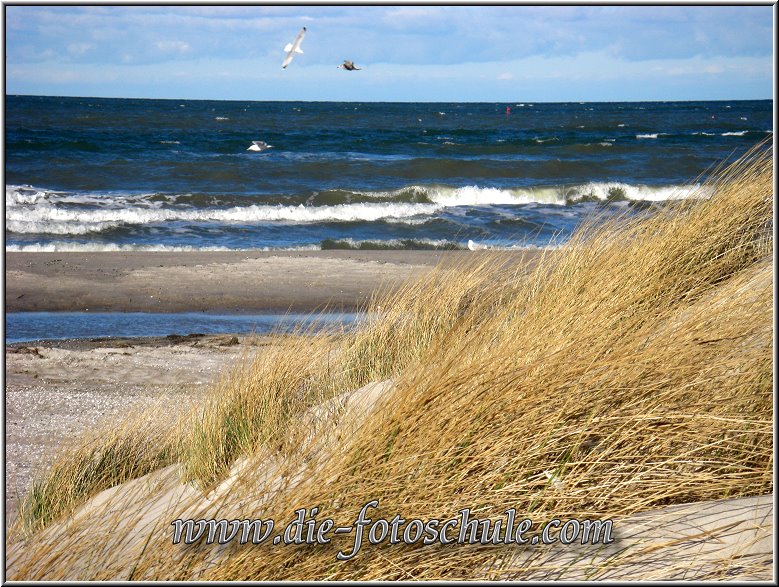 Prerow_Ostsee17_Die_Fotoschule.jpg