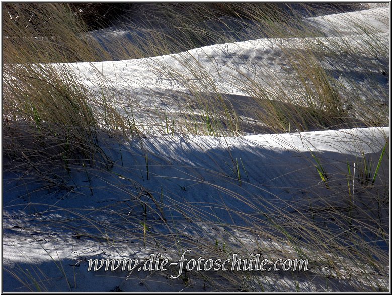 Prerow_Ostsee18_Die_Fotoschule.jpg