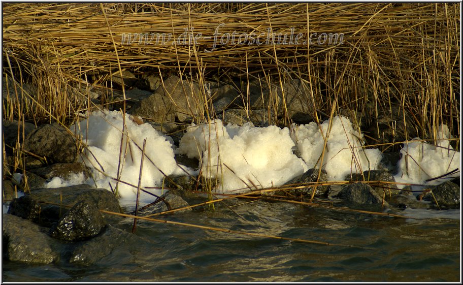 Wieck_Hafen02_Die_Fotoschule.jpg - Boddenufer am Wiecker Hafen