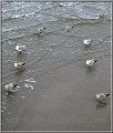 Zingst_Ostsee01_Die_Fotoschule