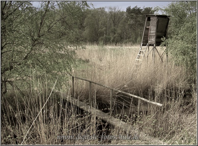 2776_Born_Tonart_002.jpg - Am Bodden-Wanderweg zwischen Wieck und Born