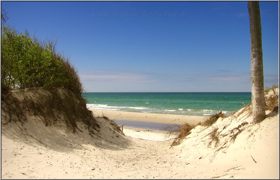 2797_Weststrand_005.jpg - Die typischen Strandzugänge vom Darßer Urwald zum Weststrand