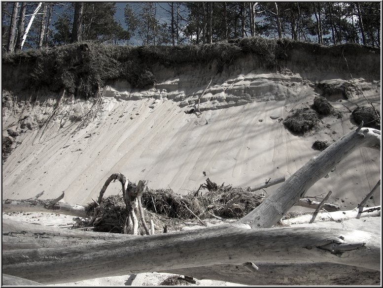 2808_Weststrand_Tonart_007.jpg - Der obere nördliche Teil des Weststrandes wirkt bizarr und rauh. Hier überlässt man die Natur sich selbst, das macht den besonderen Charme dieses rund 10 Kilometer langen Abschnittes aus.