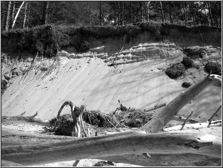 2808_Weststrand_sw_007.jpg - Langsam frisst sich das Meer ins Land, um es am Nordstrand bei Prerow wieder anzuspülen