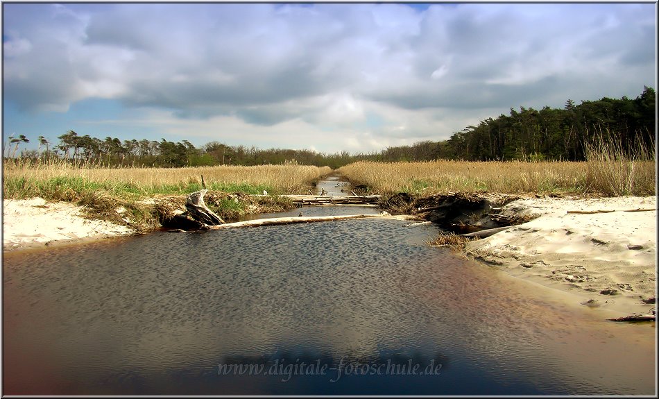 2815_Weststrand_009.jpg - Ein kleiner Bach sucht den Weg ins Meer