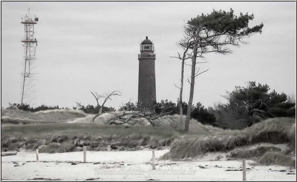 2903_Weststrand_Tonart_030.jpg - Der Darßer Leuchtturm am Darßer Ort umrahmt von Windflüchtern