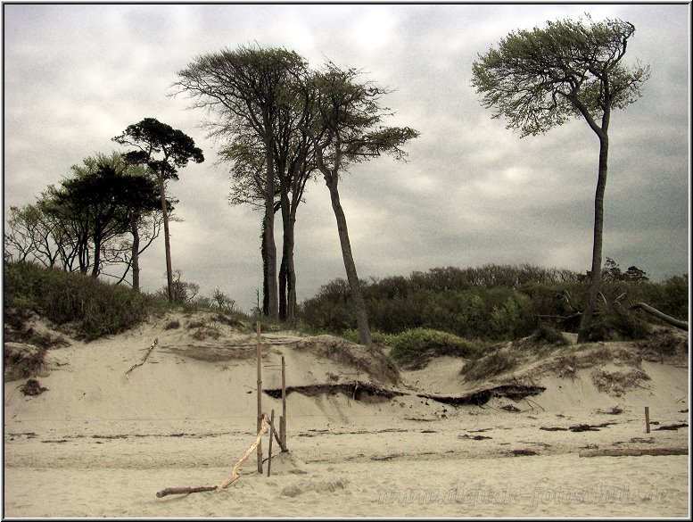 2915_Weststrand_Tonart_034.jpg - Das begleitende Bild, wenn man am Strand entlang schlendert