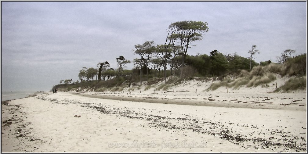 2917_Weststrand_Tonart_035.jpg - Auch wolkenverhangen bietet der Darß reizvolle Stimmungen