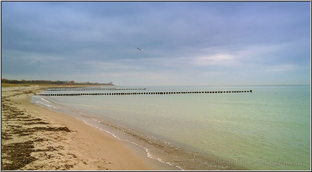 576_Weststrand_021.jpg - Am Strand bei Ahrenshoop