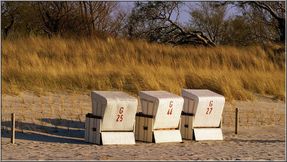 653_Weststrand_016.jpg - Da sind sie wieder, die schönen Strandkörbchen von Ahrenshoop