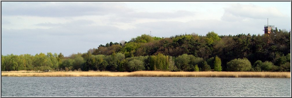 6959_Bodden_001.jpg - Am Barther Bodden vom Boddenschiff aus fotografiert