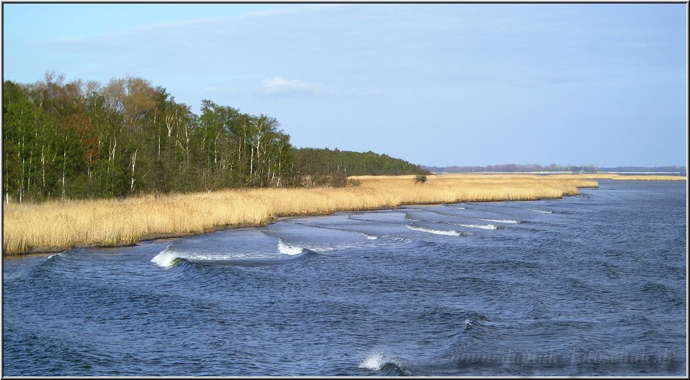 6962_Bodden_002.jpg - Pramort, östlich von Zingst