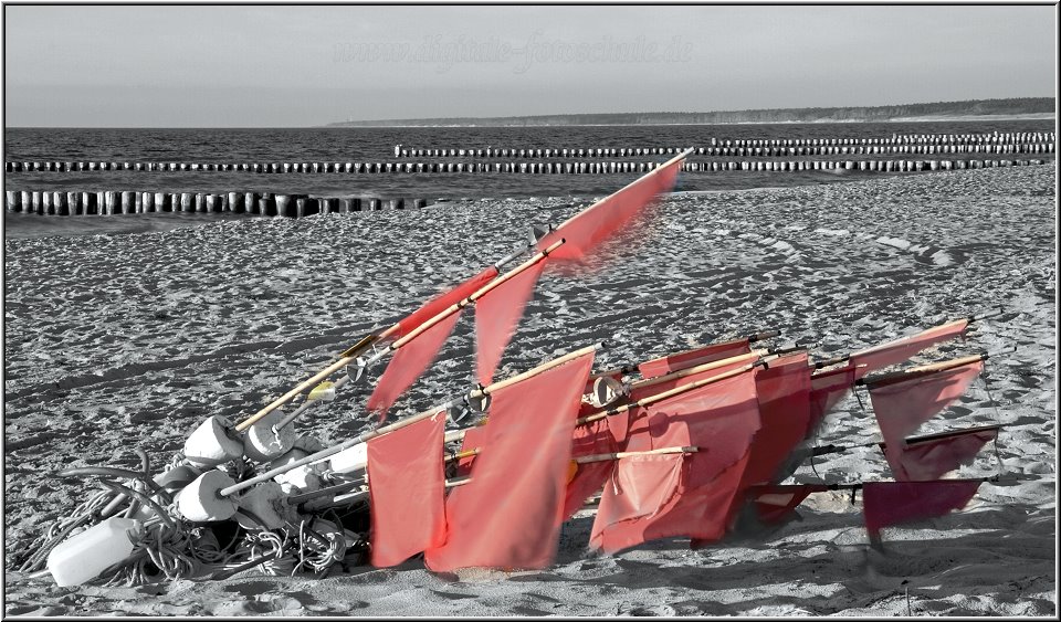 7674_Weststrand_014.jpg - In Ahrenshoop am Strand