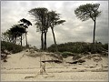 2915_Weststrand_Tonart_034